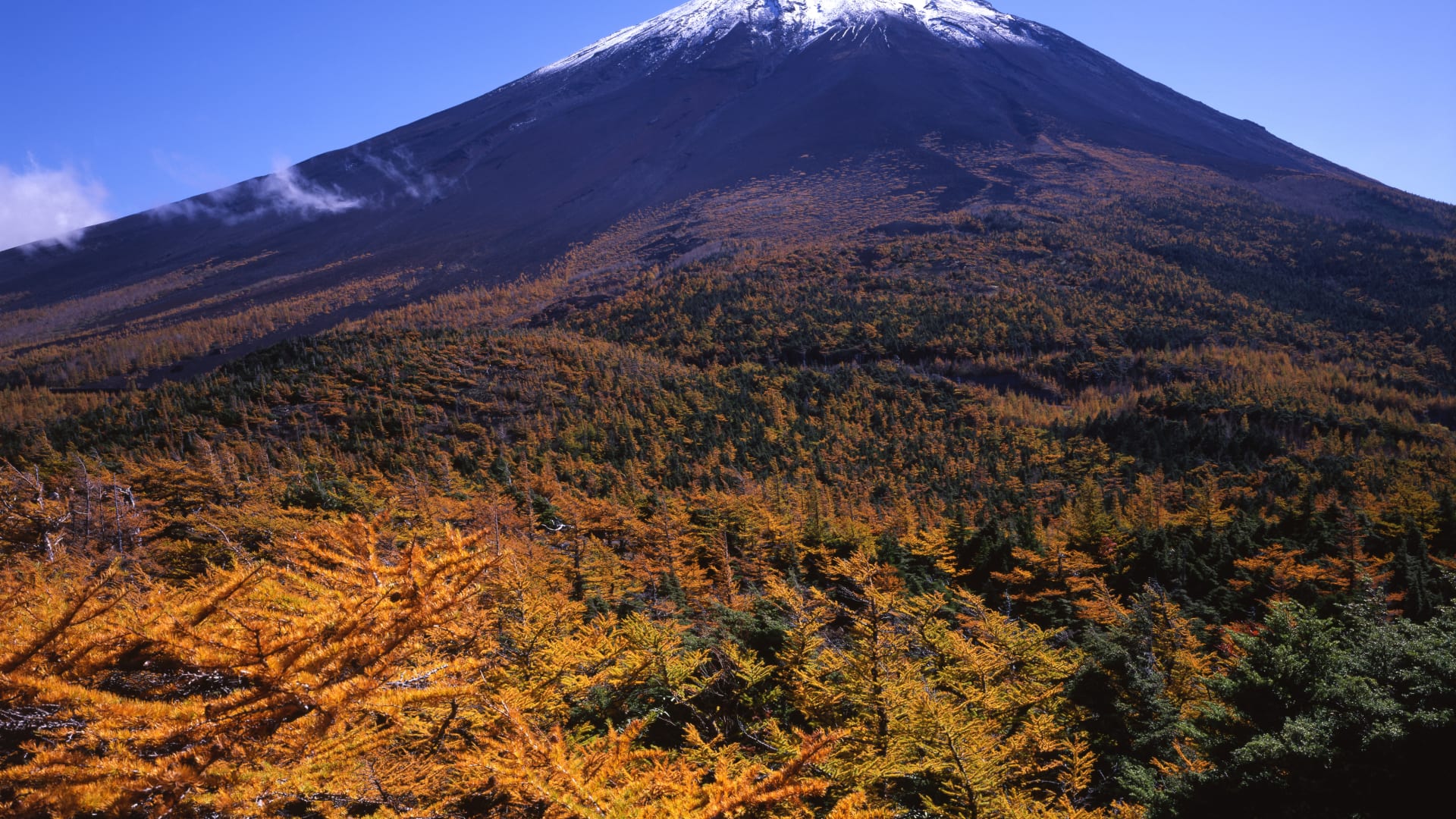 Гора Фудзи (Яманаси)