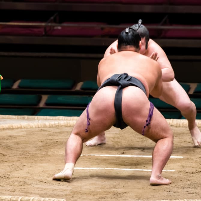 Japanese Sports—An Overview