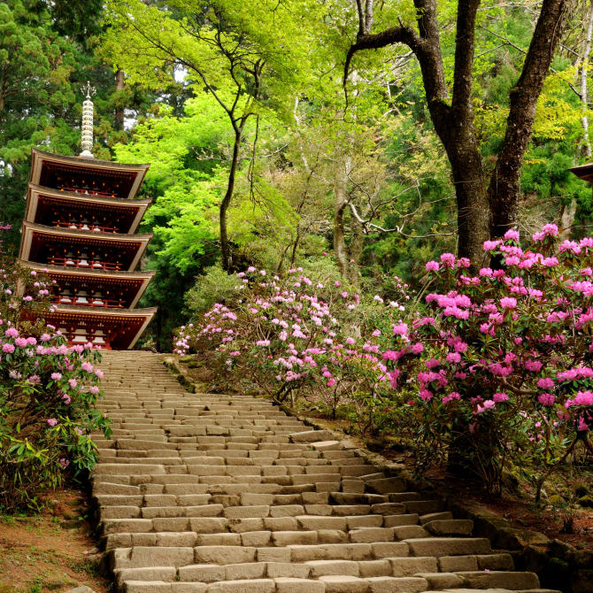 Muroji Rhododendron Festival