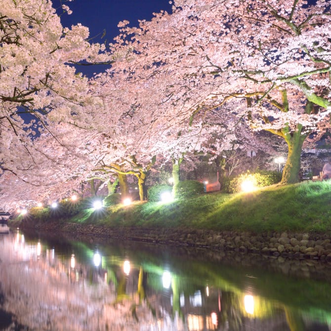 Matsukawa River Cherry Blossoms