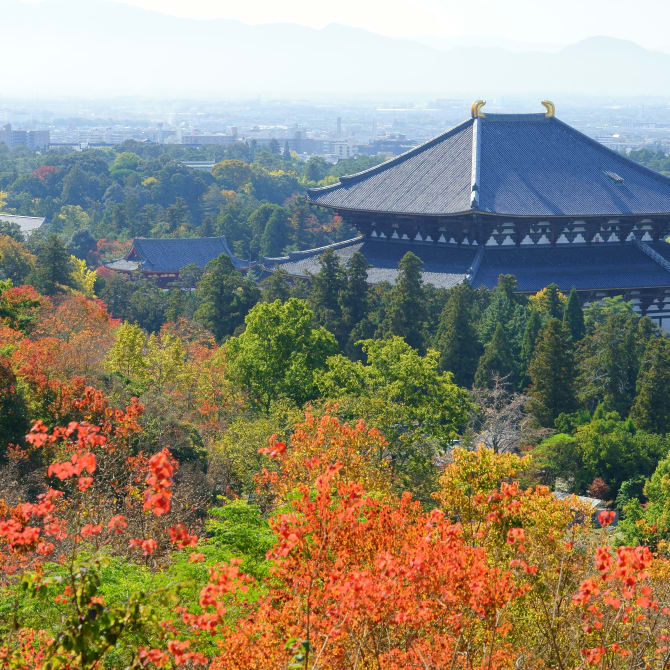The Historic Monuments of Ancient Nara (UNESCO)