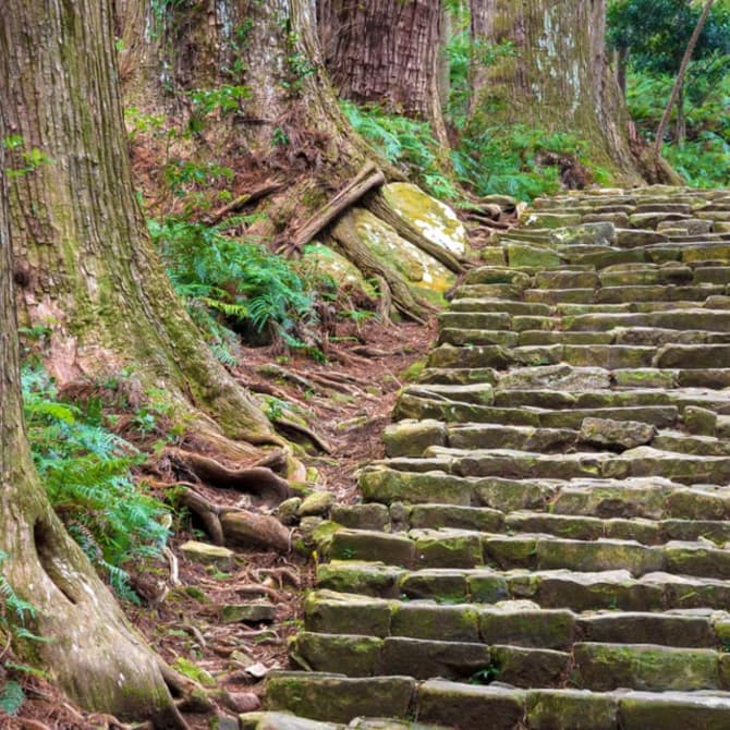 Trekking the Kumano Kodo Pilgrimage Route