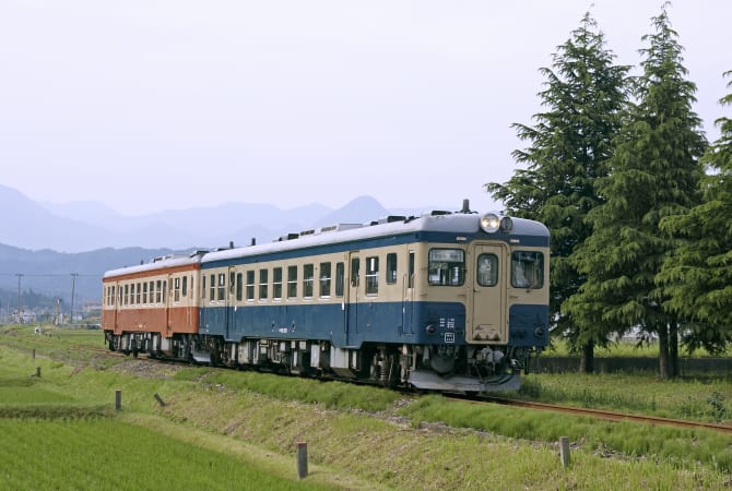 Other Lozal Railways