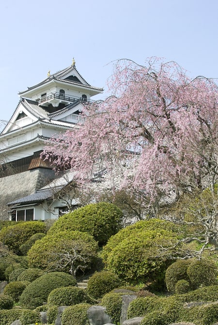 kaminoyama castle
