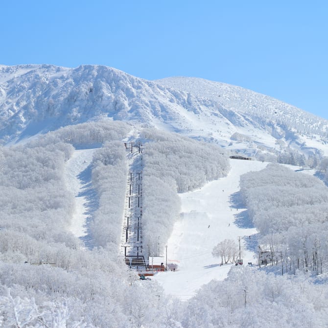 Mt. Zao Skiing
