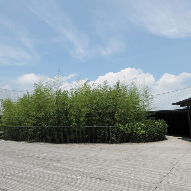 Makino Botanical Garden