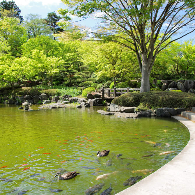 Sakurayama Park