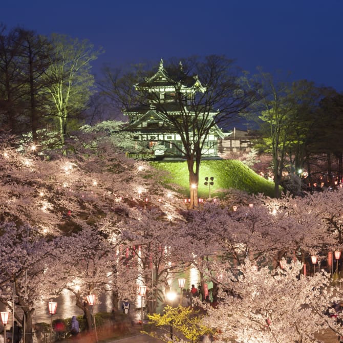 Takada Cherry Blossom Festival