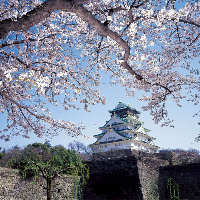 Osaka Castle Cherry Blossoms