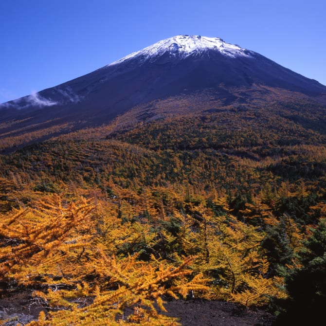Mt. Fuji (Yamanashi)