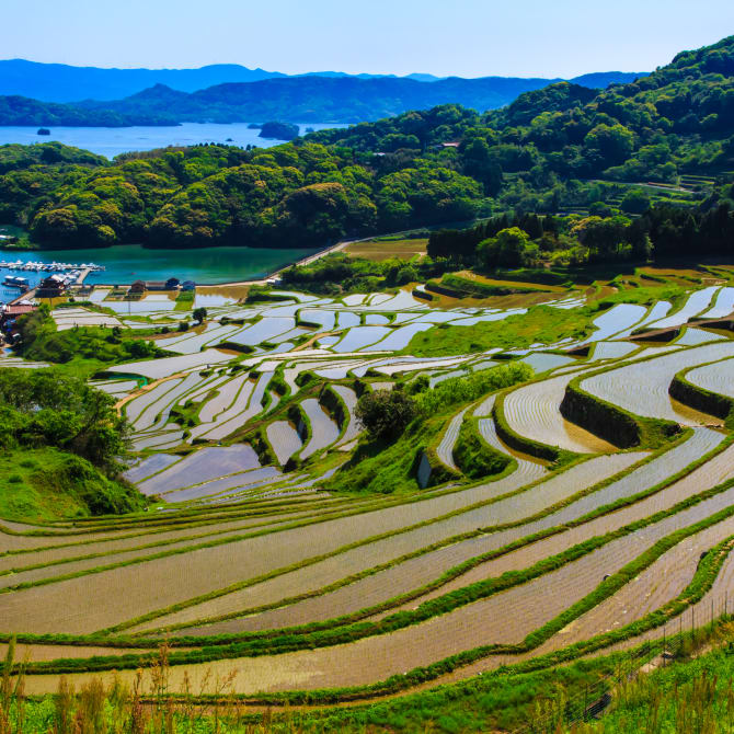 Oura Terraced Rice Fields